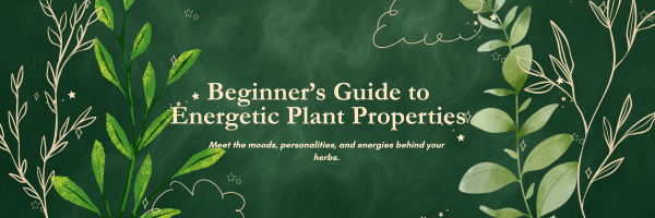 Beginner’s Guide to Energetic Plant Properties