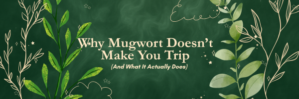 Why Mugwort Doesn’t Make You Trip (And What It Actually Does)
