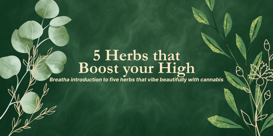5 Herbs that Boost Your High